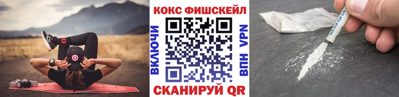 купить закладку  Болохово  Cocaine Fish Scale 