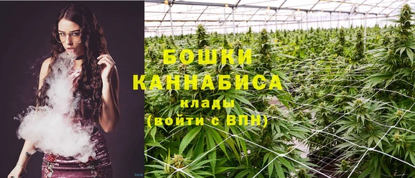 ПСИЛОЦИБИНОВЫЕ ГРИБЫ Беломорск